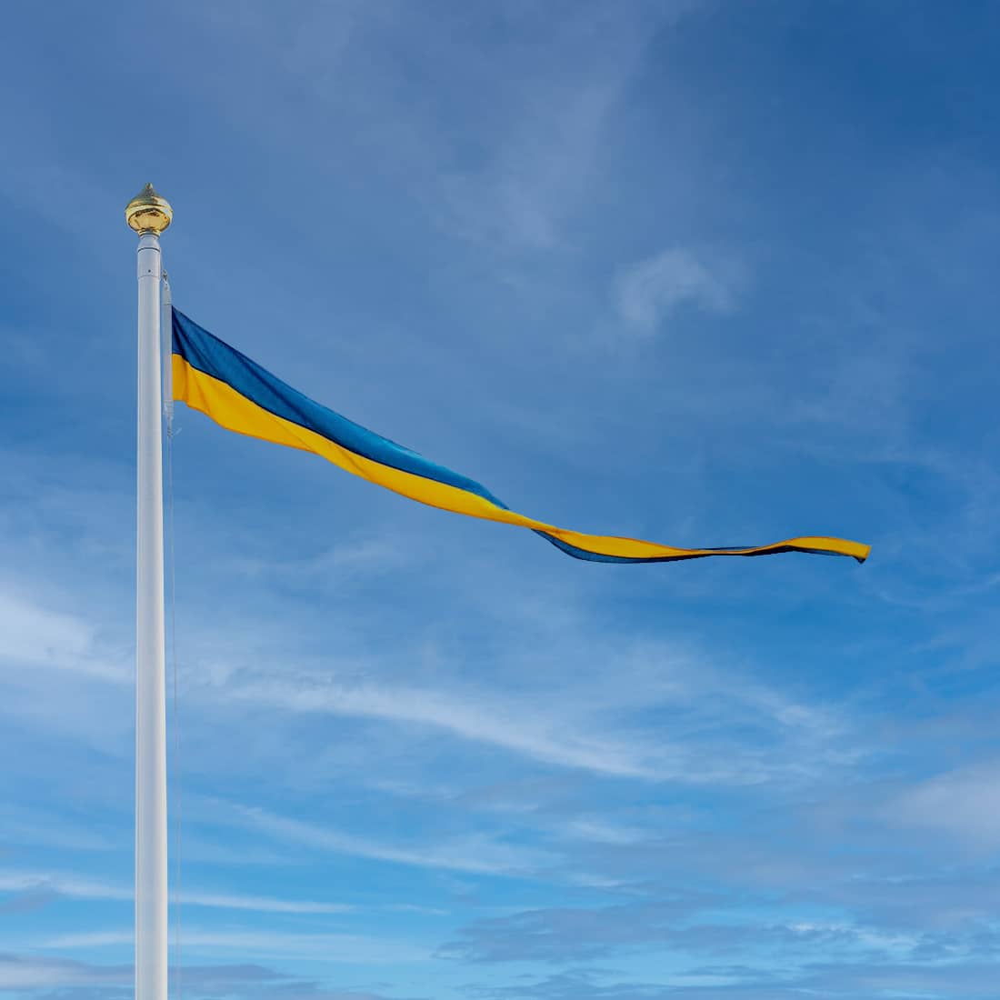 Hissad svensk vimpel